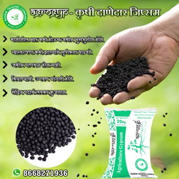 Granules 
