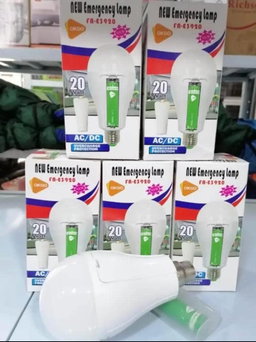 Energy Saver Bulb