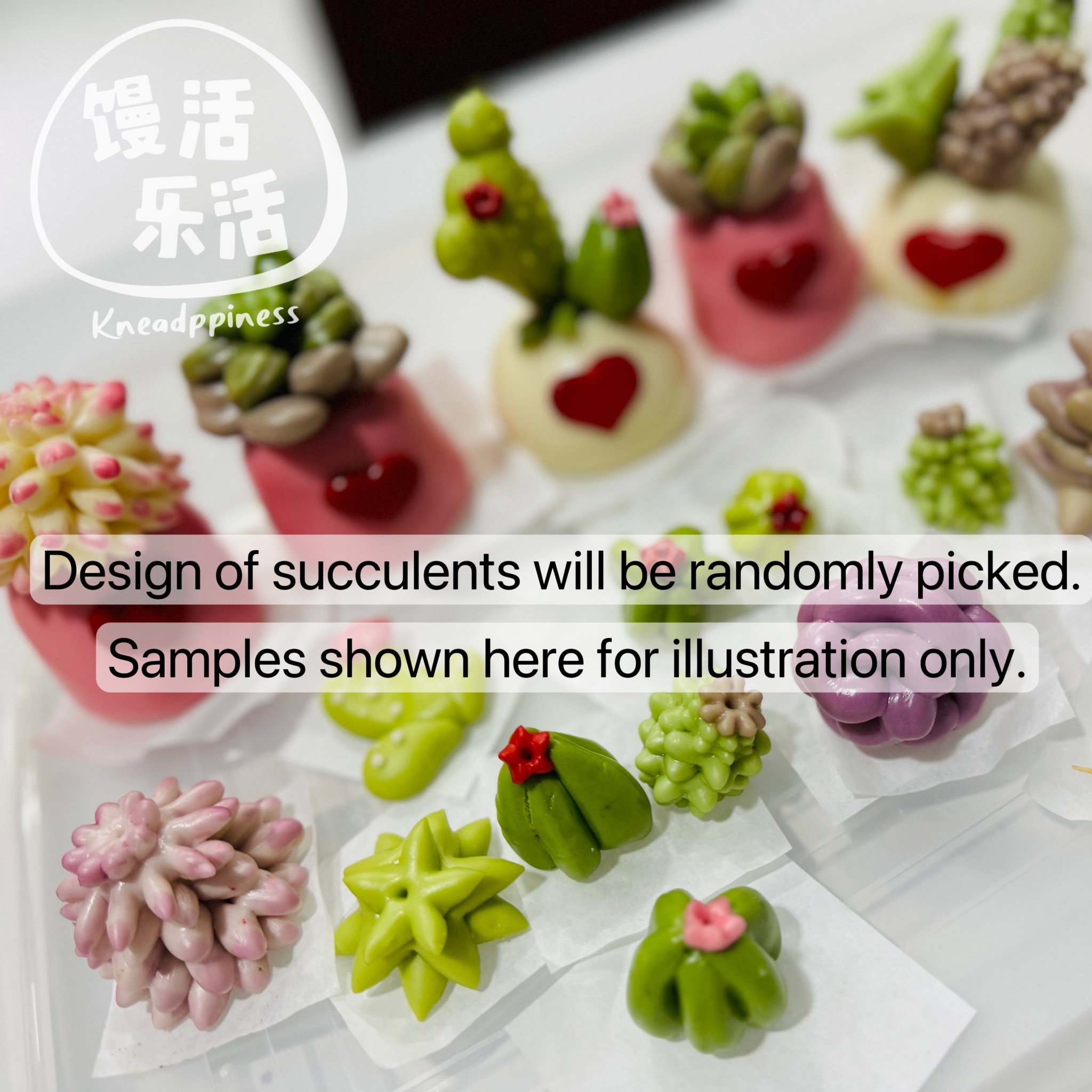 Succulents Love_1