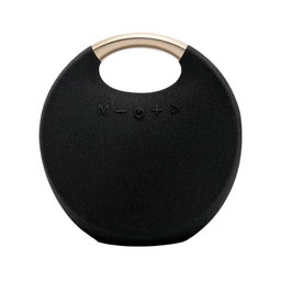 Hand held outdoor and indoor Bluetooth Speaker