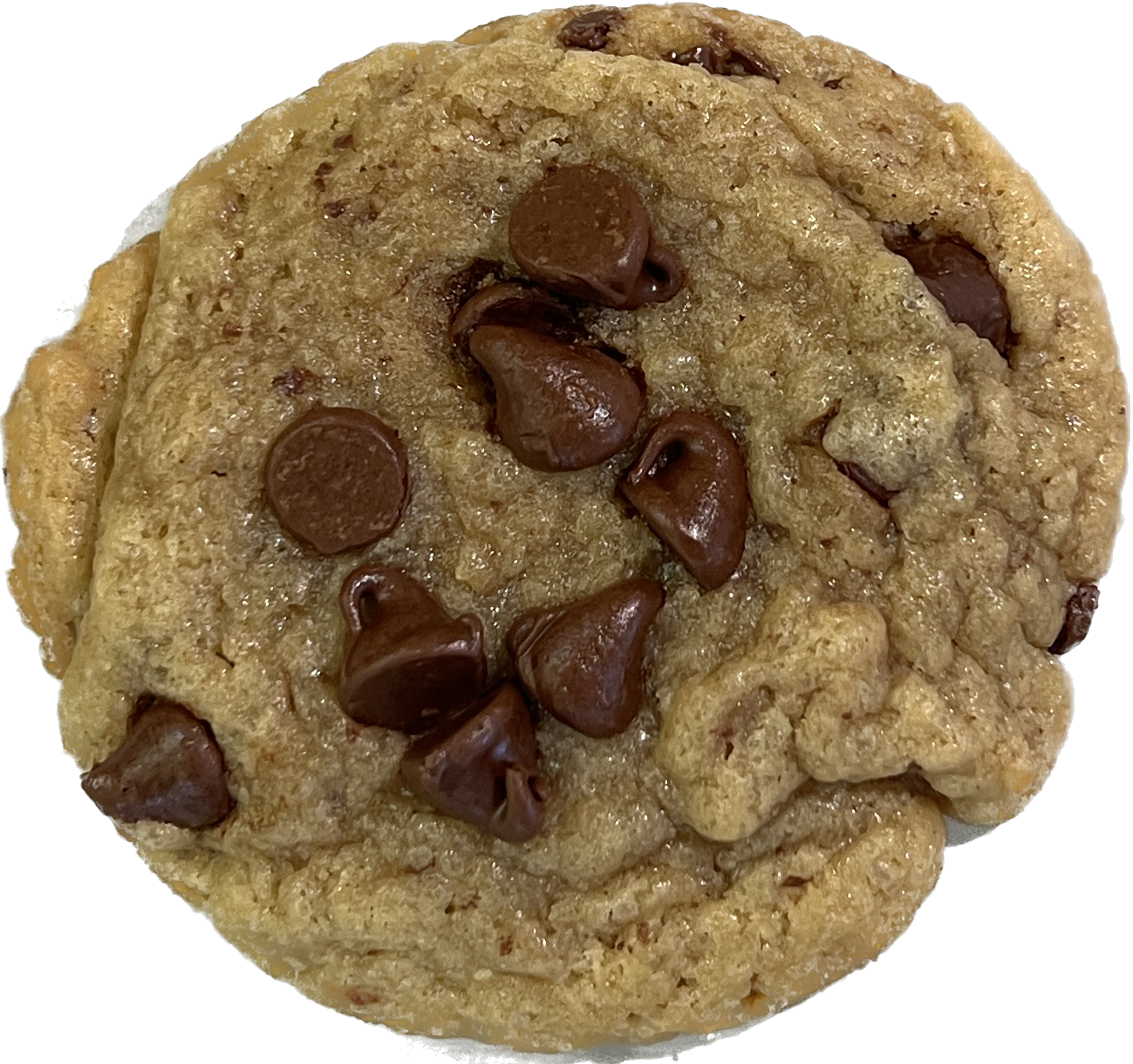 Chocolate Chip