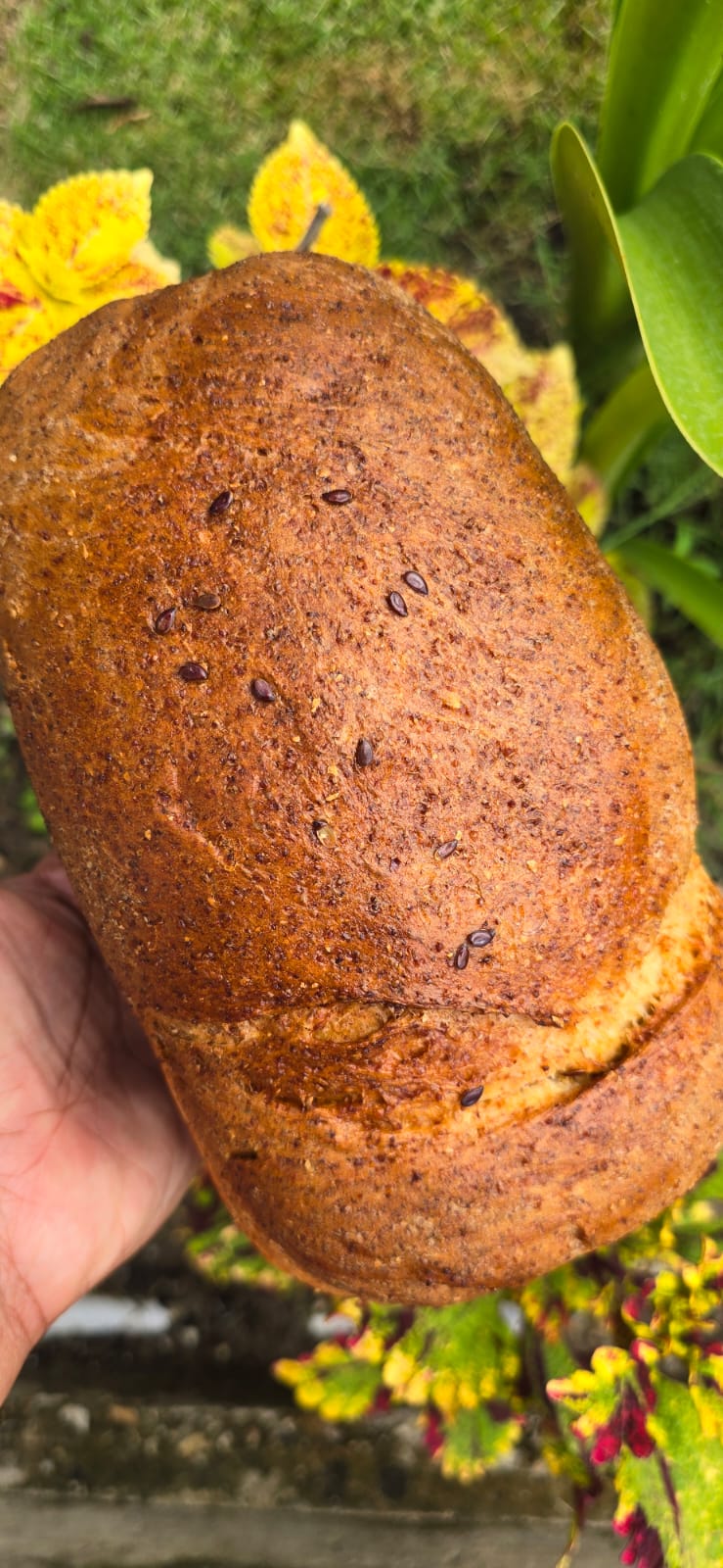 Channa (chick pea) loaf sprinkled with Flaxseeds