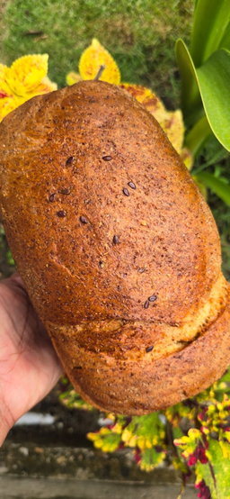 Channa (chick pea) loaf sprinkled with Flaxseeds