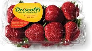 Driscoll s Strawberries USA_0