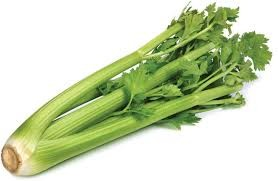 Celery_0