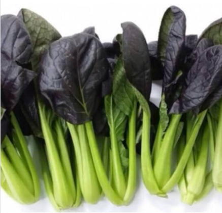 Meod Red Pak Choy (150g)_0