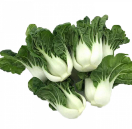 Meod Nai Bai (200g)-奶白菜