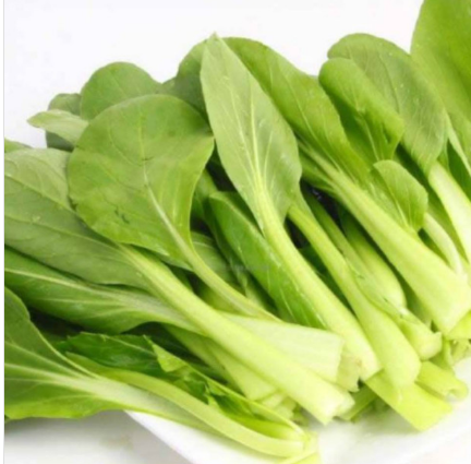 Meod Xiao Bai Cai (200g)-白菜_0