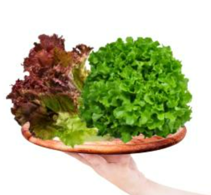 Meod Salad Bundel C (Red Crisp & Green Oak) 200g -ζ²ζηθ