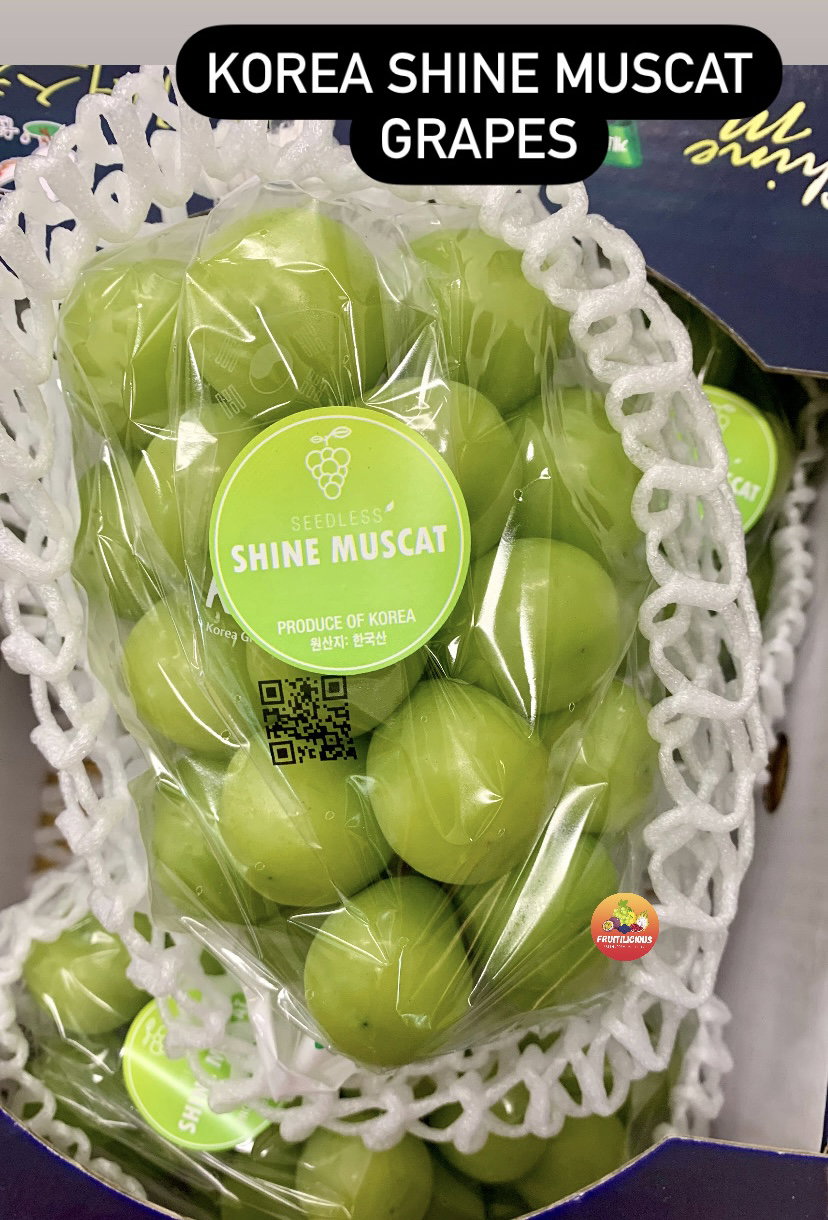 KOREA PREMIUM SHINE MUSCAT GRAPES_0