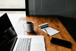 Consulting Services