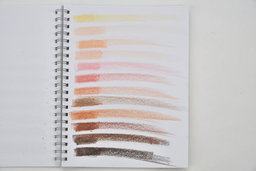 12 Skin Tones Block Crayons