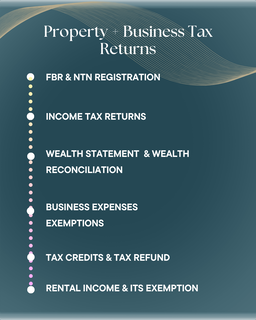 Property + Business Tax Returns