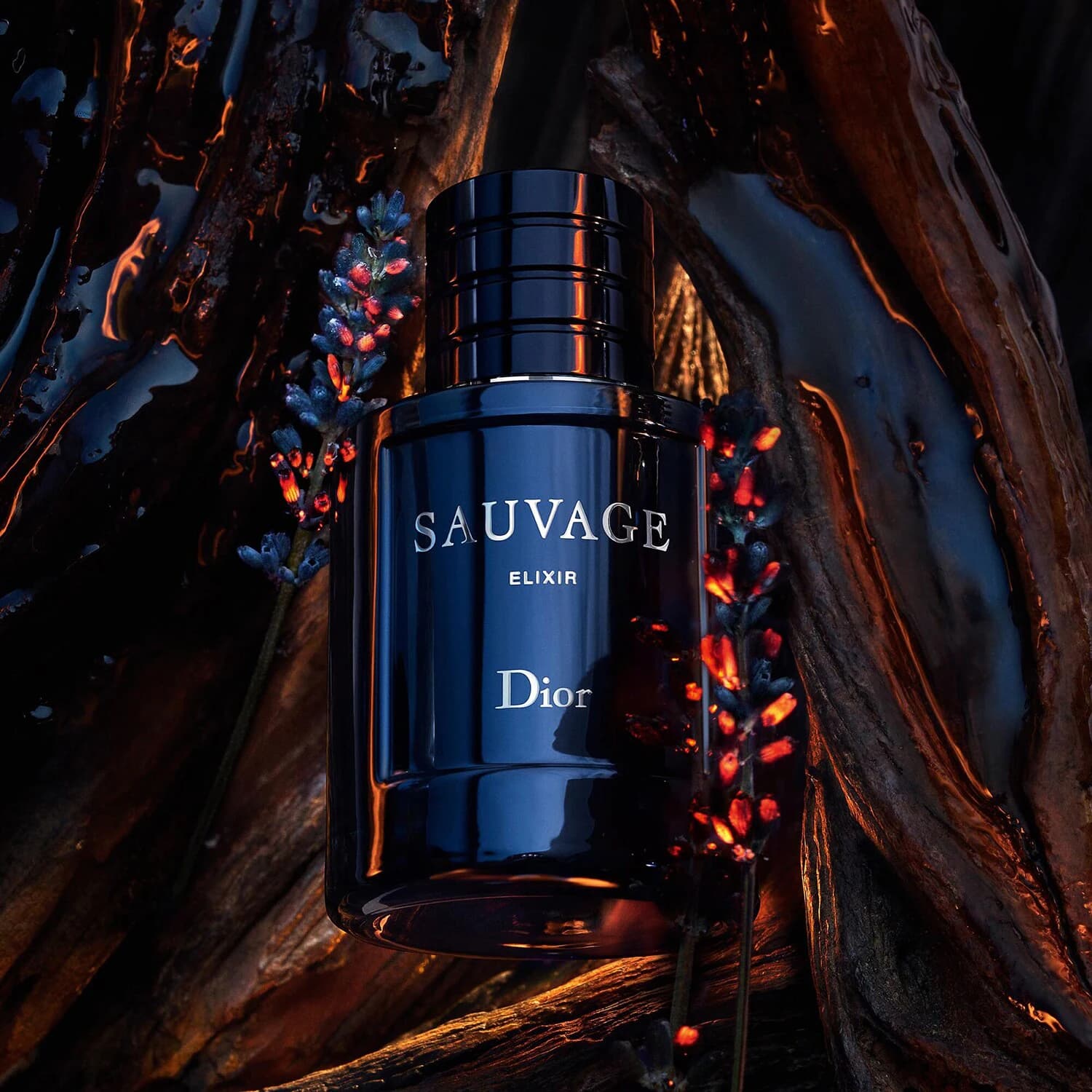 DIOR Sauvage Elixir_1