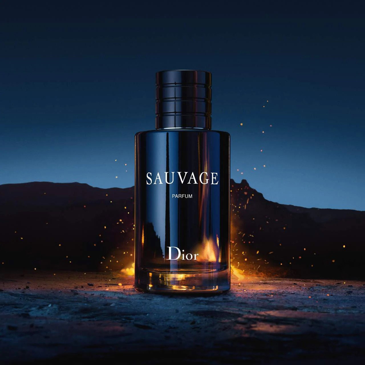 DIOR Sauvage Elixir_0