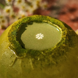 Mt.Komuro Matcha Yuzu 伊豆抹茶山
