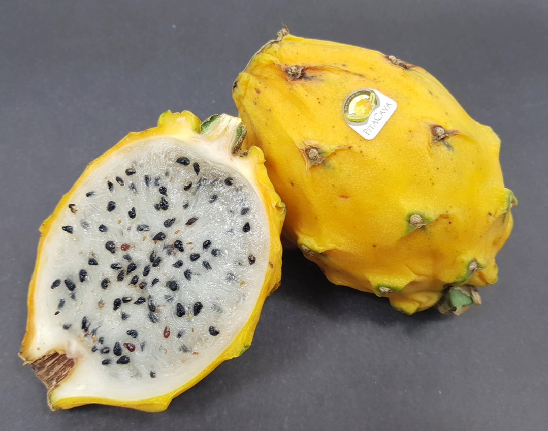 DRAGON FRUIT GOLDEN(ECUADOR )