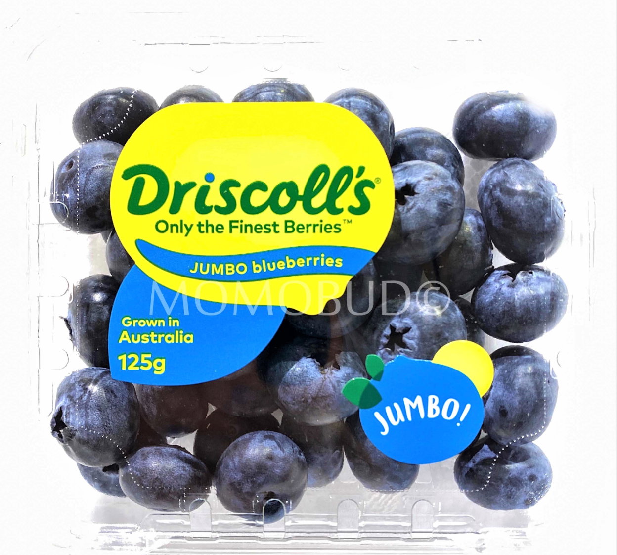 BLUEBERRY JUMBO DRISCOLL’S(125gm)(3punnet)_0