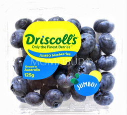 BLUEBERRY JUMBO DRISCOLL’S(125gm)(3punnet)