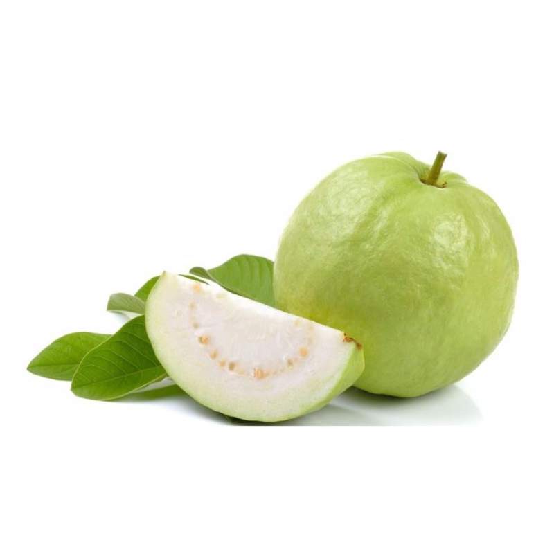GUAVA SEEDLESS(THAILAND )(1kg)5pcs-6pcs_0