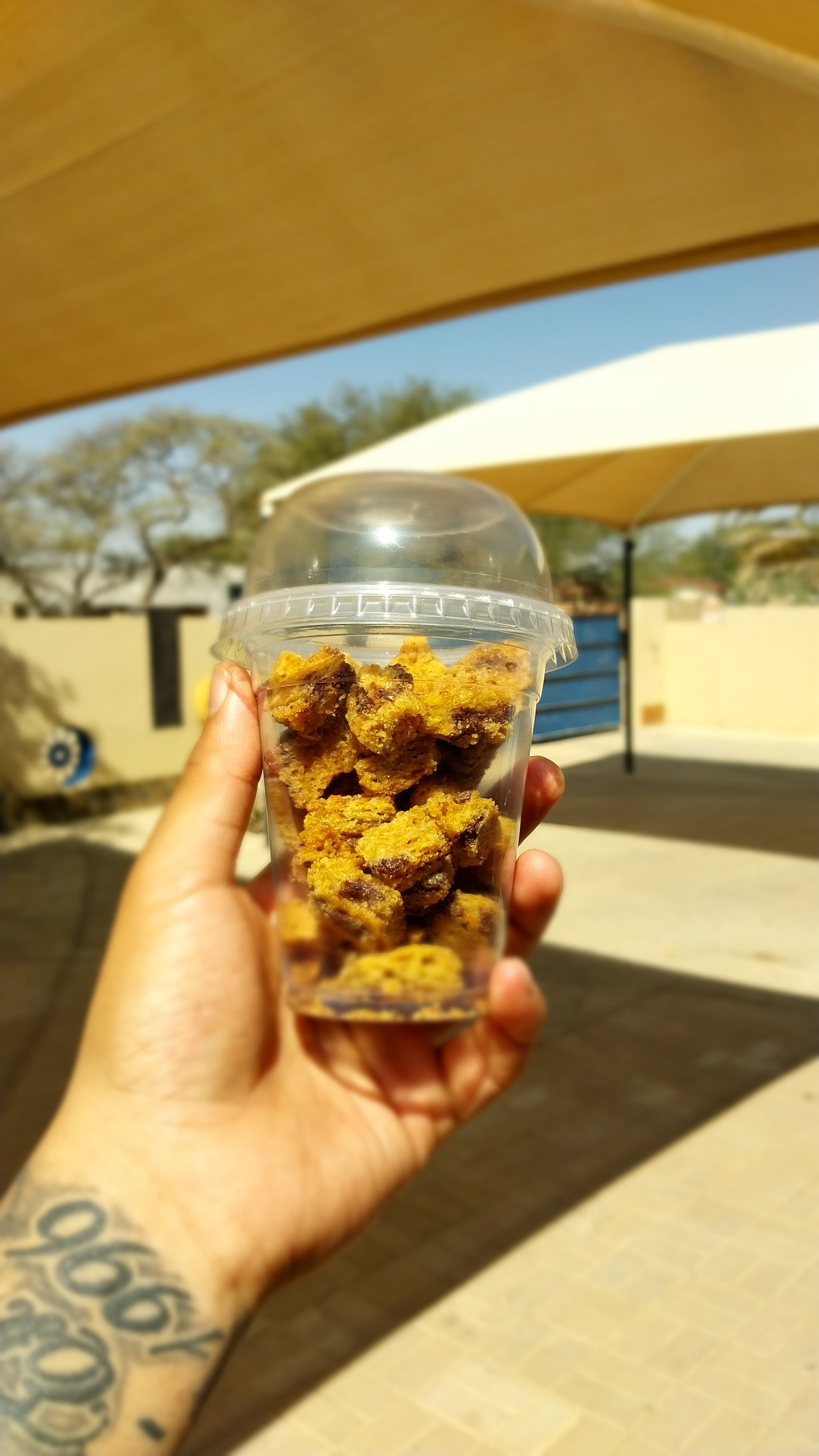 ChocoChip Bites _1