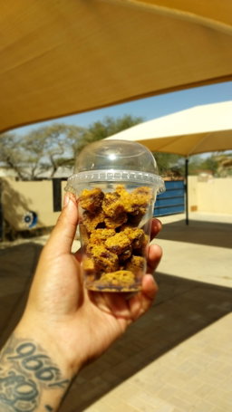 ChocoChip Bites 