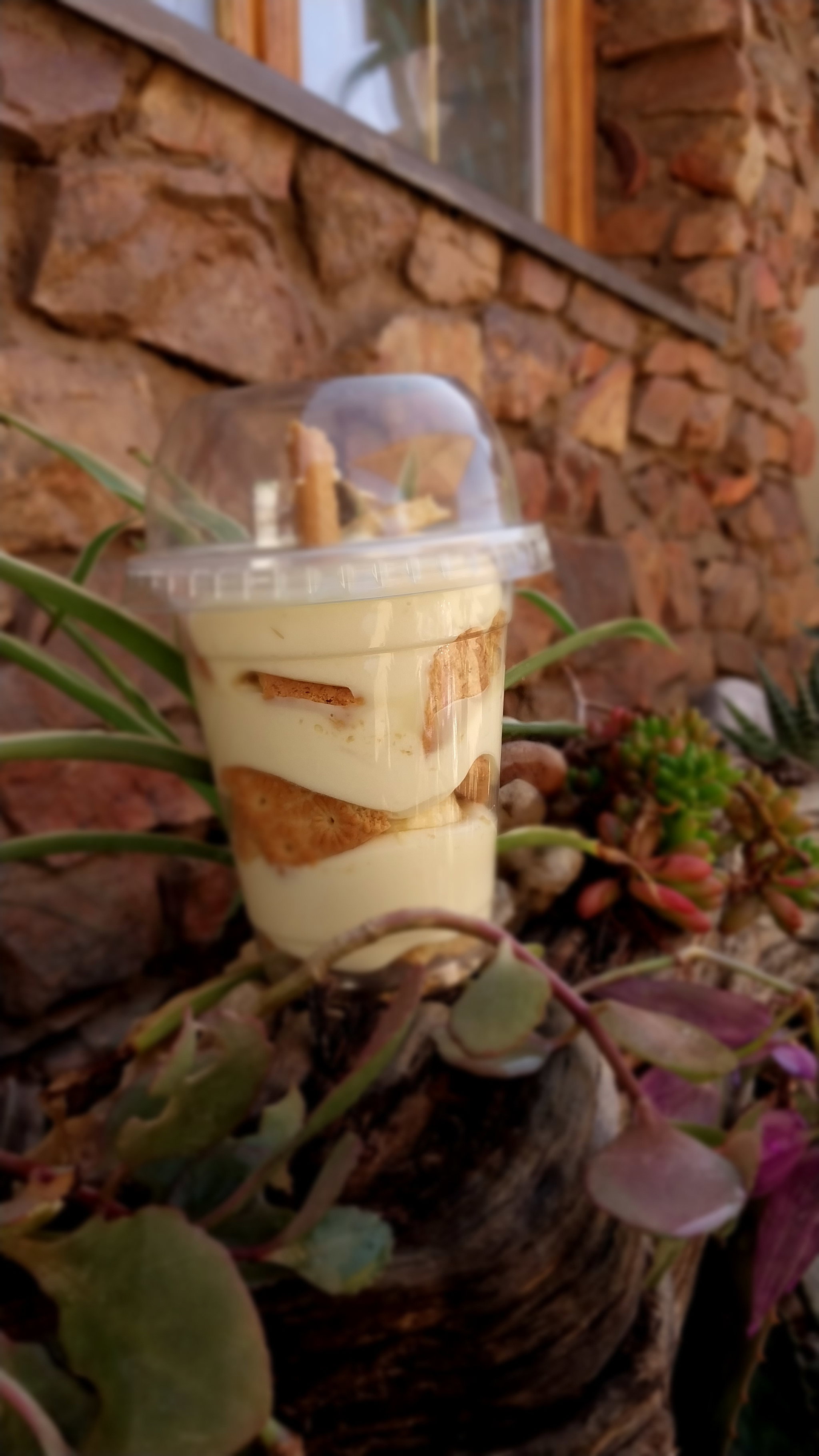 Banana Pudding _5