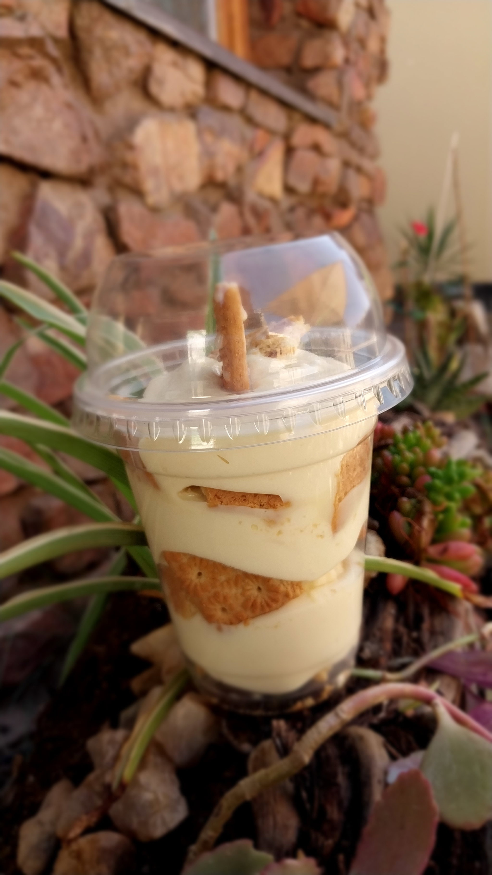 Banana Pudding _3