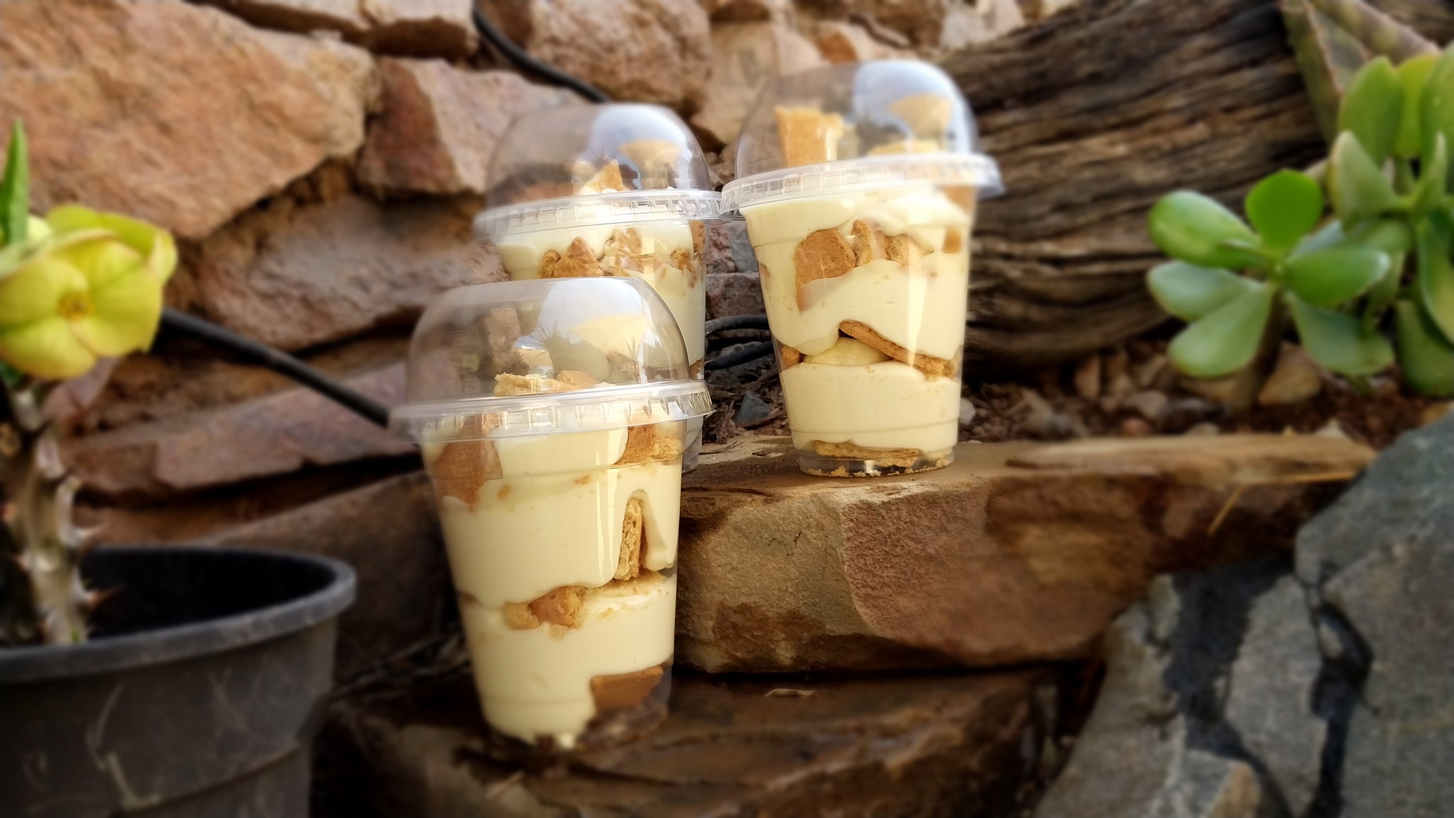 Banana Pudding _0