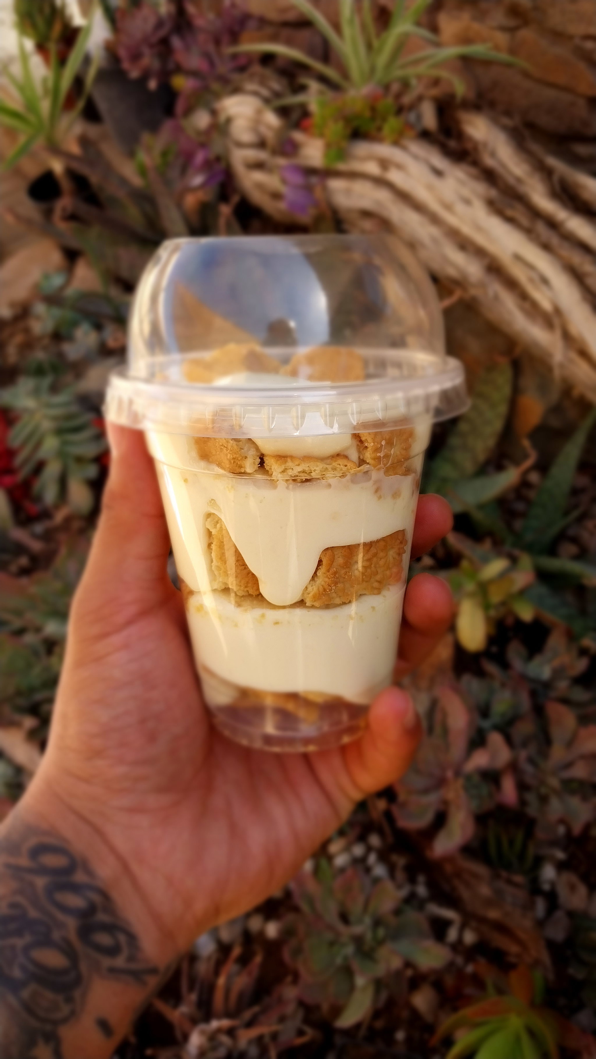 Banana Pudding _2