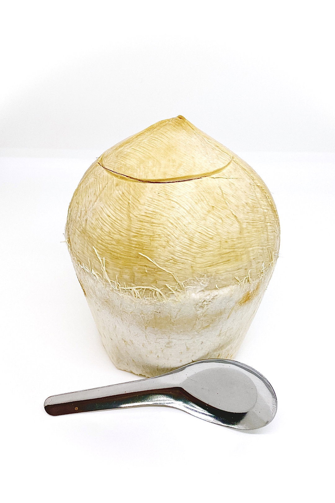 COCONUT BOTAK (THAILAND)(3pcs)