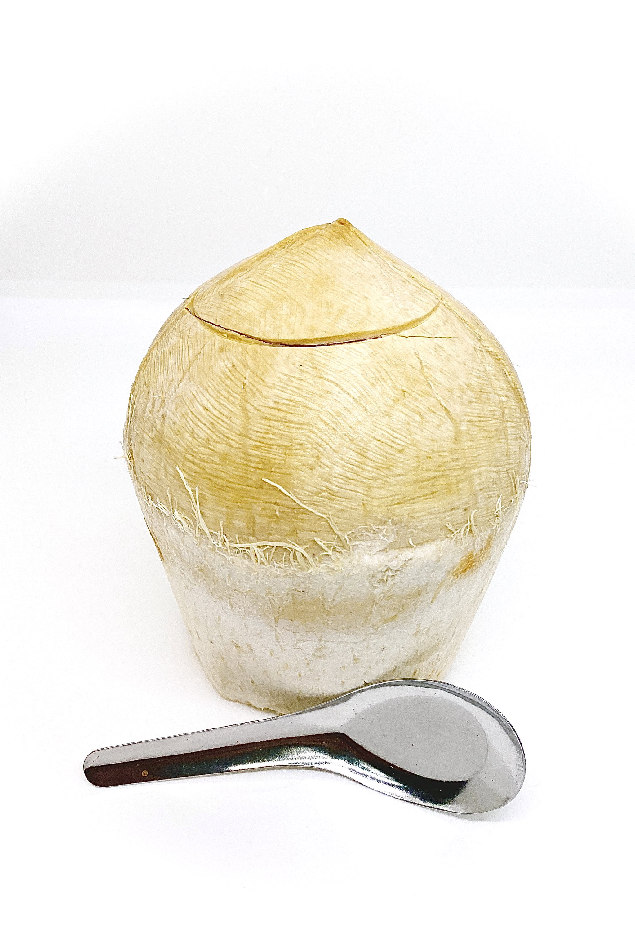 COCONUT BOTAK (THAILAND)(3pcs)_0