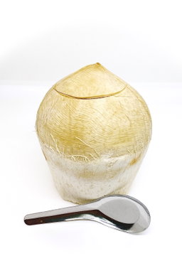 COCONUT BOTAK (THAILAND)(3pcs)