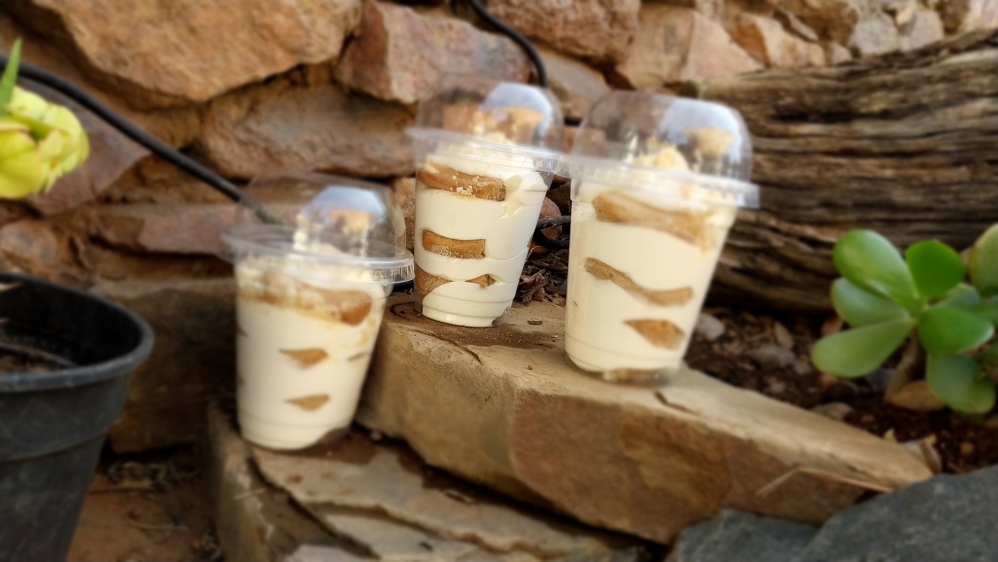 CheeseCake_3