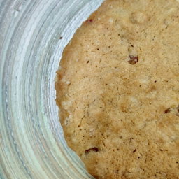 Oatmeal Raisin Cookie