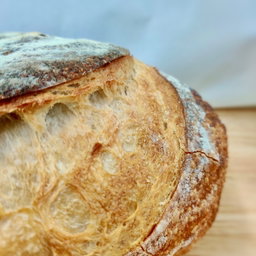 Rustic White Sourdough