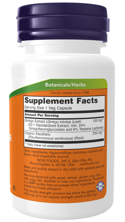 Ginkgo Biloba Double Strength 120 mg