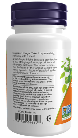 Ginkgo Biloba Double Strength 120 mg
