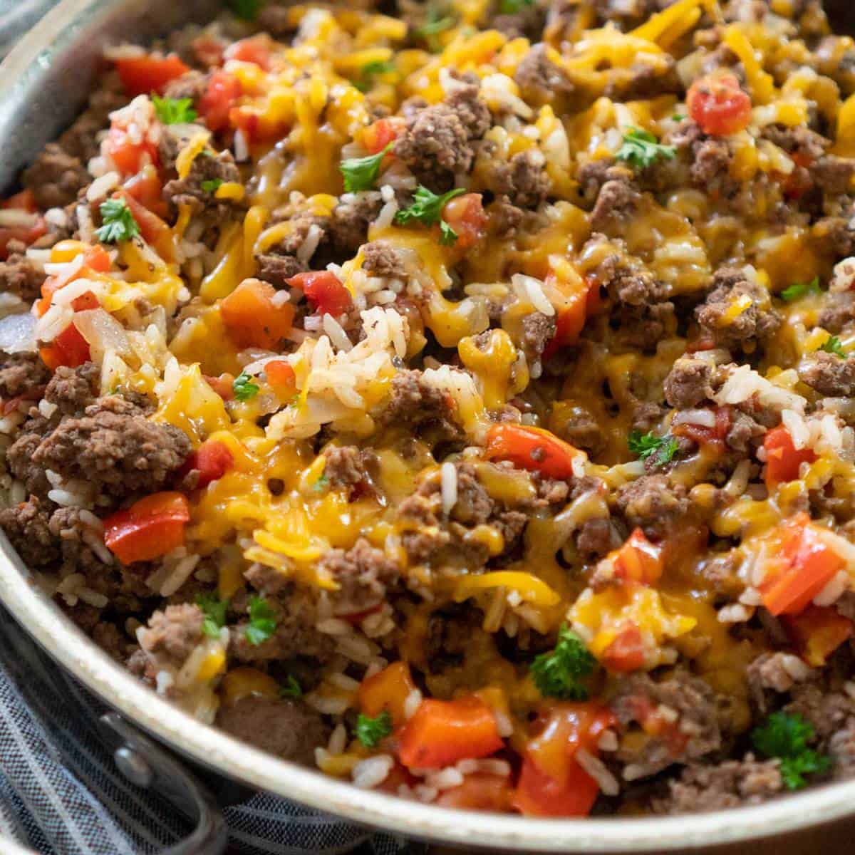 Mince & Rice_0