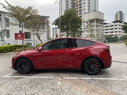TESLA MODEL Y PERFORMANCE