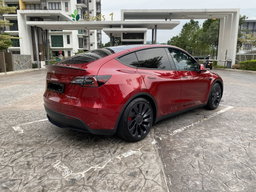 TESLA MODEL Y PERFORMANCE