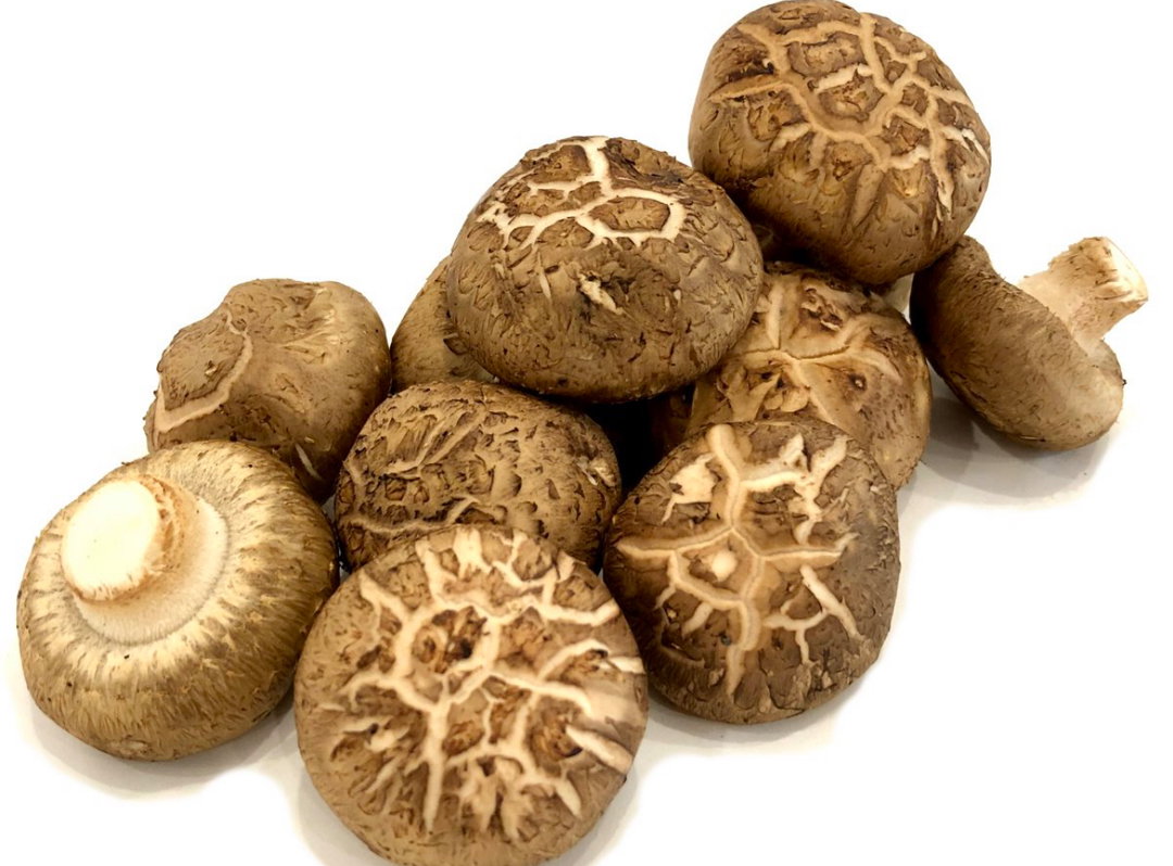 MUSHROOM STITAKE(1kg)