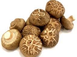 MUSHROOM STITAKE(1kg)