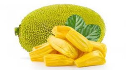 πππCUT FRUITSπππ