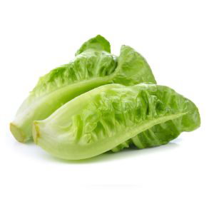 LETTUCE ROMAINE (1kg)_0