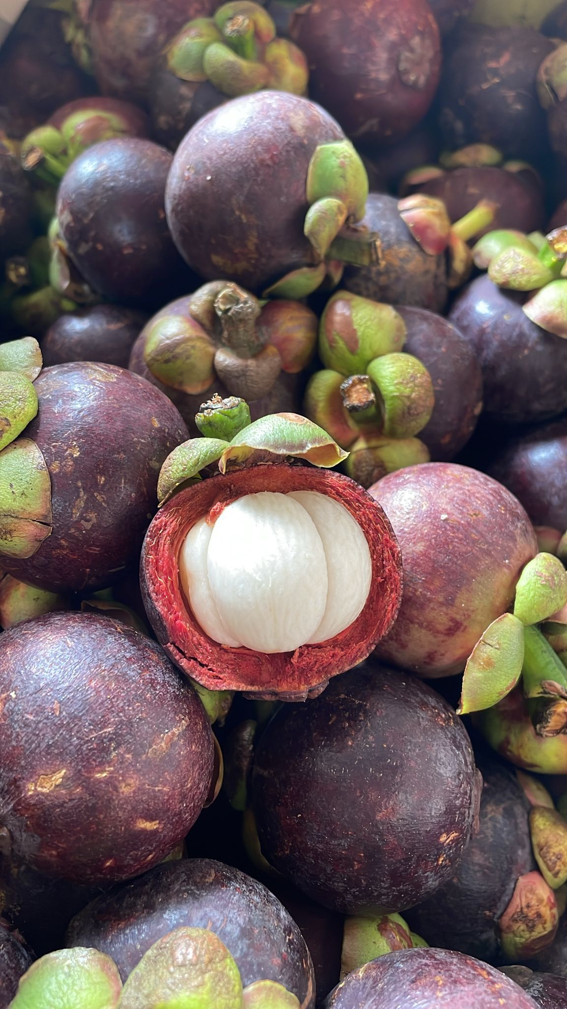 MANGOSTEEN THAILAND (1kg)_0