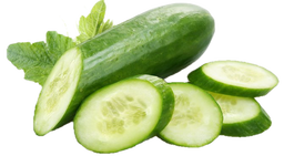 Concombre 