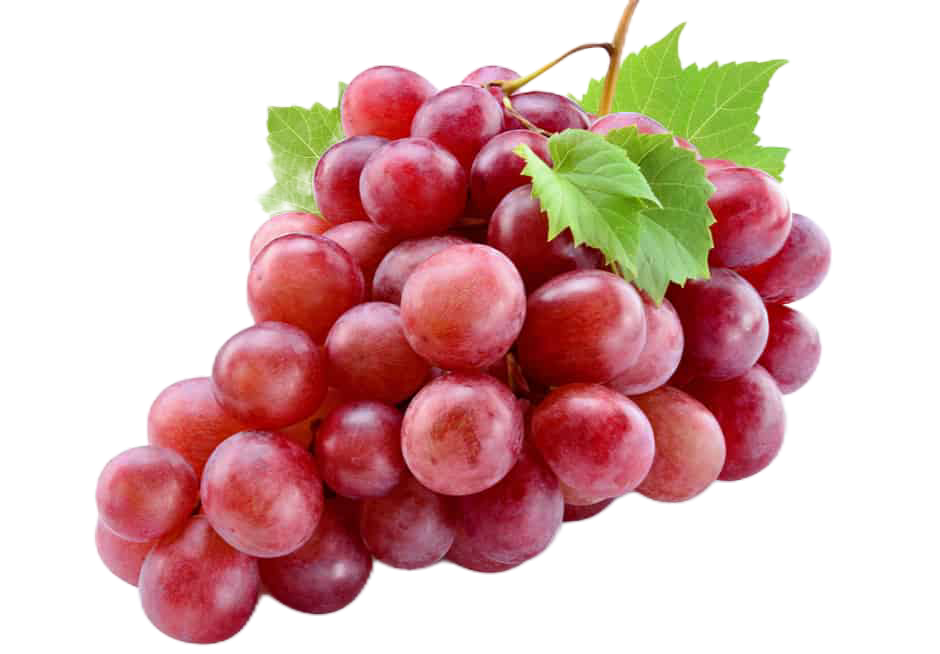 Raisin rouge_0