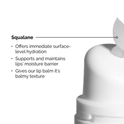 The Ordinary Squalane and Amino Acid Lip Balm 15ml