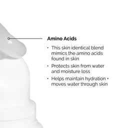 The Ordinary Squalane and Amino Acid Lip Balm 15ml
